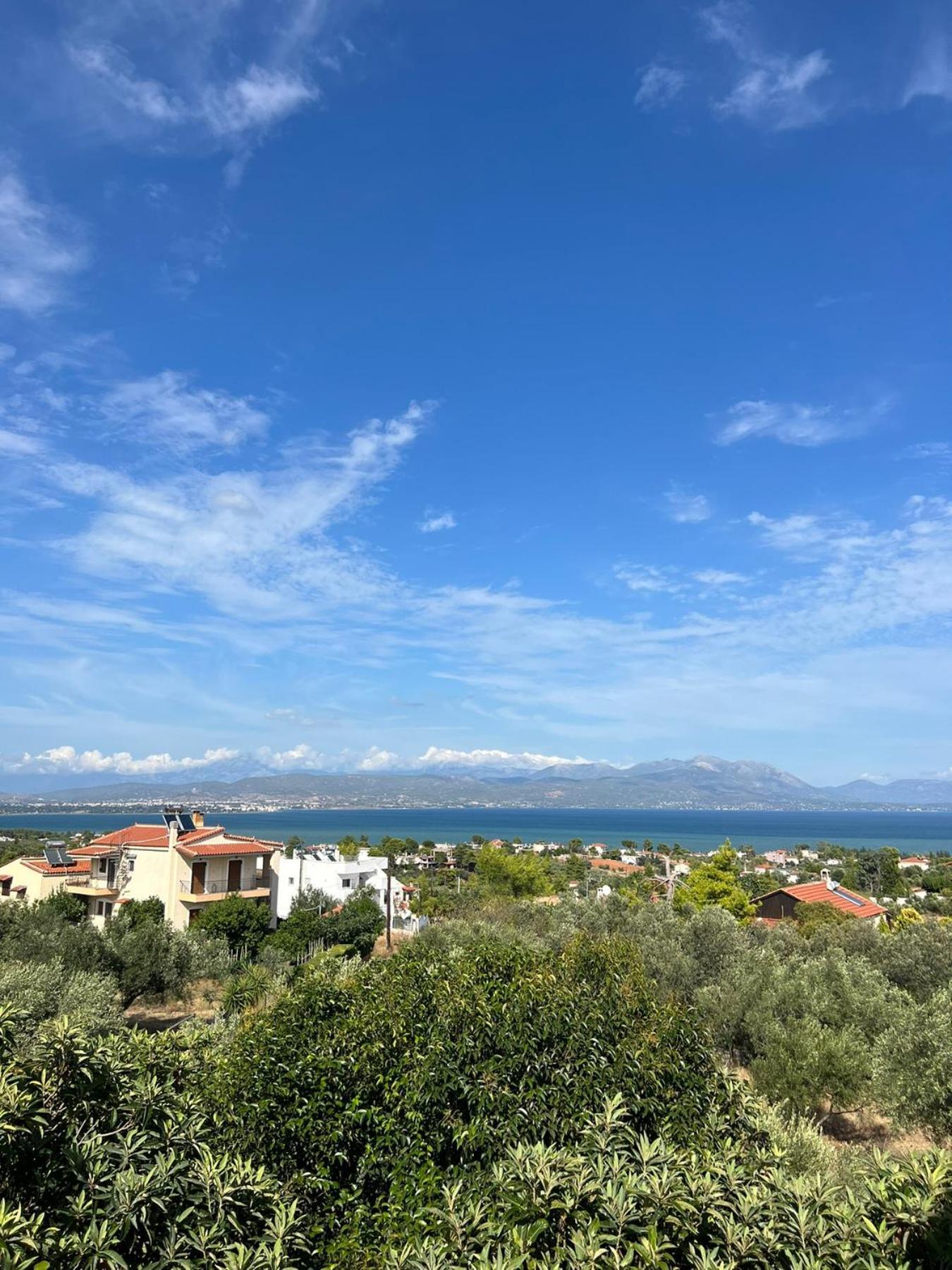 Xenia'S Seaview House Villa Paralia Avlidhos Buitenkant foto